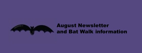 2021 August Newsletter and Bat Walk link