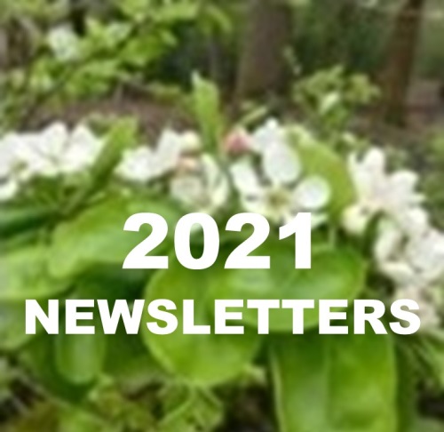 2021 Newsletters