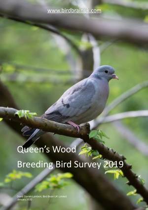2019 Breeding Bird Survey