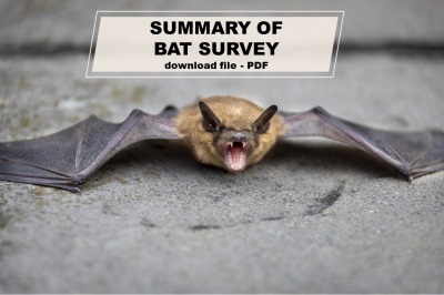 Summary of bat survey