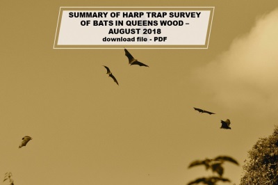Summary of harptrap survey of bats