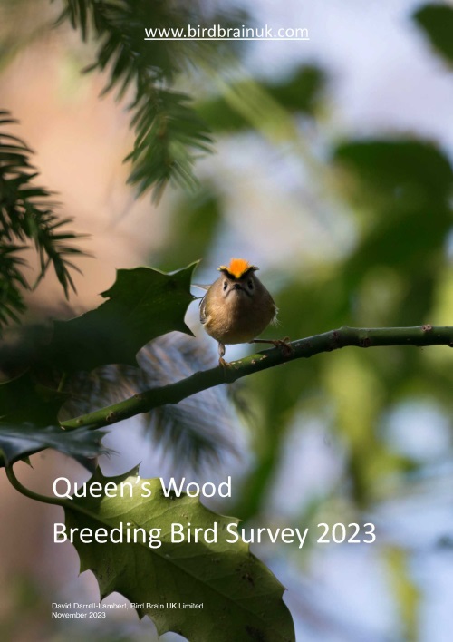 2023 Bird Survey