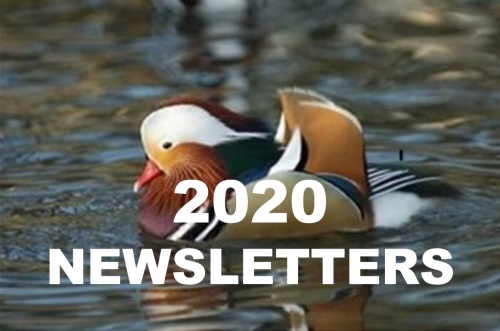 2020 Newsletters