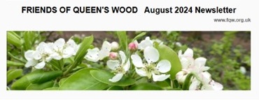 2024 August Newsletter