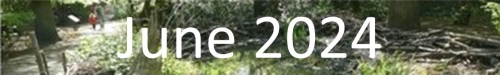 2024 June Newsletter Header