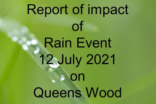 2021 Rain Event