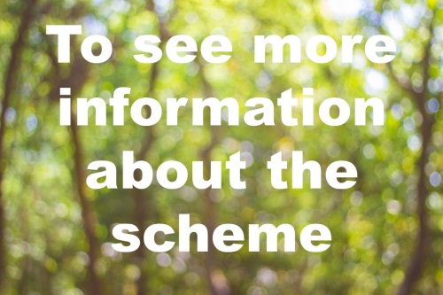 2021 See more info about the scheme
