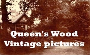 Queen's Wood Vintage pictures