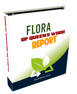 Florareport