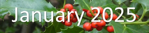 2025 January 2025 Newsletter