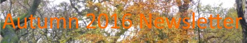Autumn 2016 Newsletter