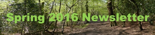 Spring 2016 Newsletter Link
