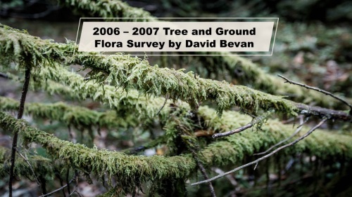 2006-07 Survey